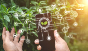 Sostenibilidad y tecnología: un futuro consciente